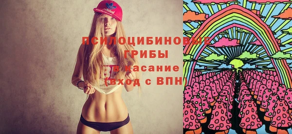 Альфа ПВП Касимов