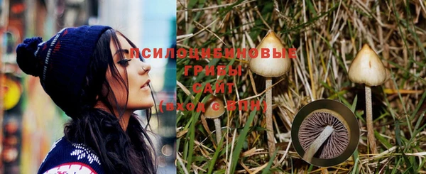 Альфа ПВП Касимов
