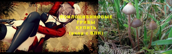 MDMA Premium VHQ Карпинск