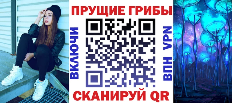 Купить где Вольск Псилоцибиновые грибы мицелий